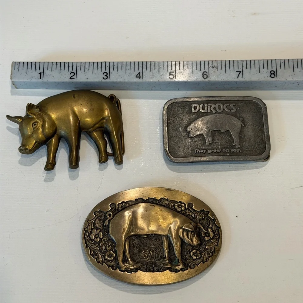 Brass and pewter big buckles